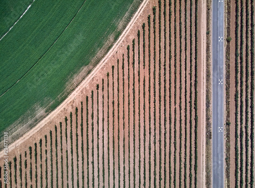 Aerial view of crop field with circular pivot irrigation sprinkler.