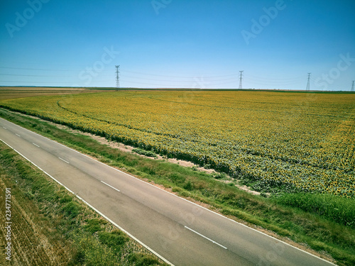 Sunflower field from the air, with light towers in the background.