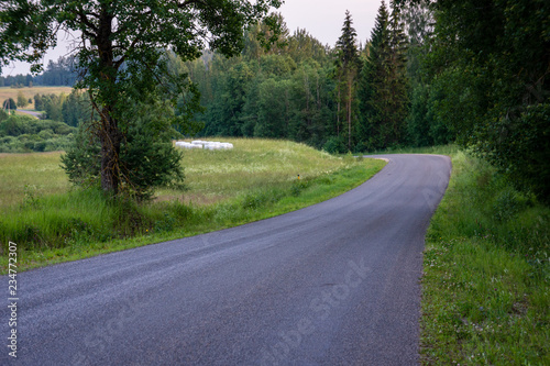 simple countryside forest road in perspective