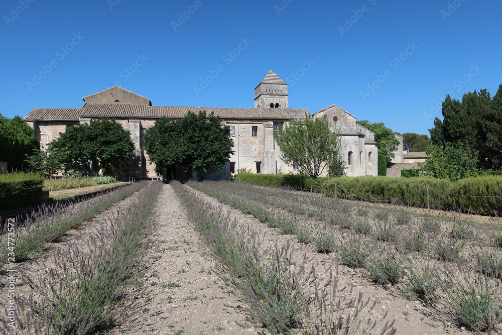 Fototapeta premium Lavender Field Provence France