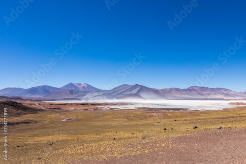 Atacama Desert, Chile. Salar Aguas Calientes. Lake Tuyacto.
