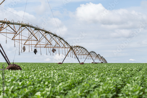 Soybean plantation in the Brazilian Midwest with artificial irrigation.