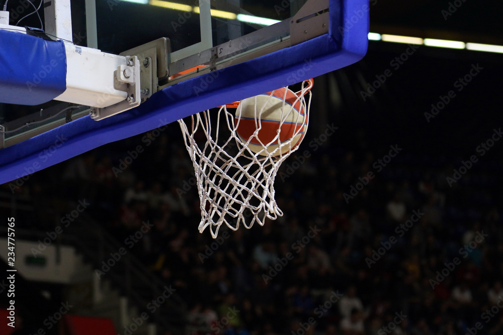 Basketball in net. Scoring Points