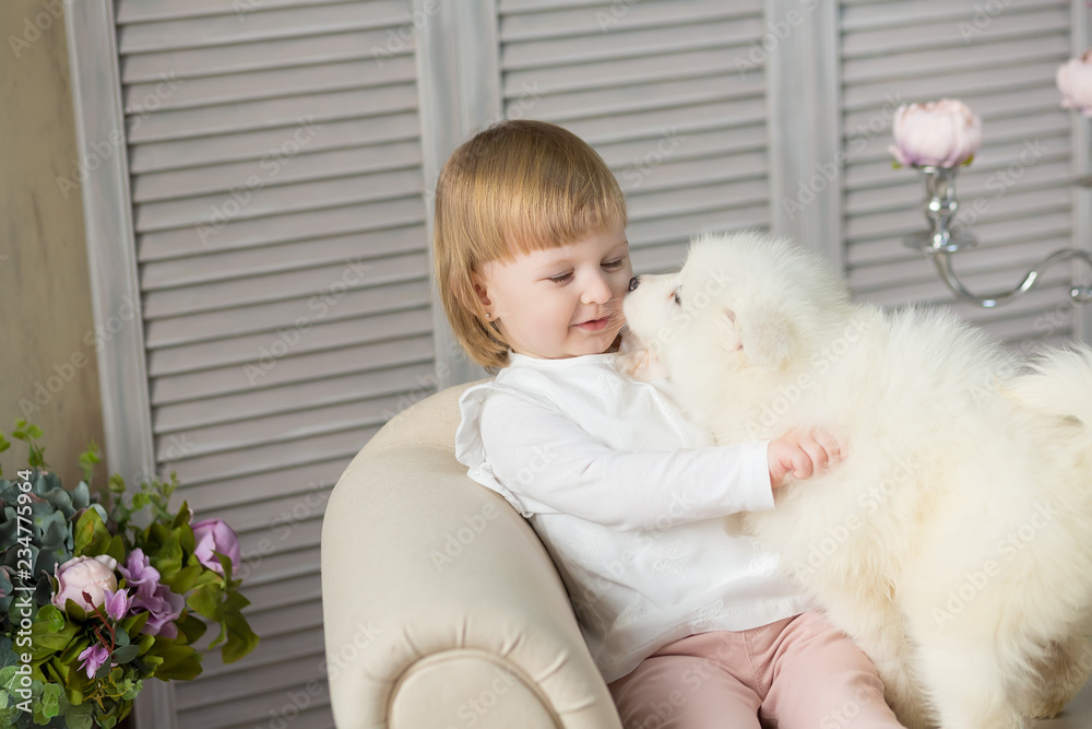 Portrait of blond baby girl play with husky puppy.Model girl with blond hair posing in studio shoot with sammy white puppy while sitting on royal retro armchair sofa couch wearing cute dress. Portrait of blond baby girl play with husky puppy.Model girl with blond hair posing in studio shoot with sammy white puppy while sitting on royal retro armchair sofa couch wearing cute dress.