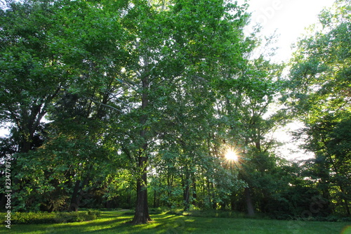 Sunset at Inniswood Metro Gardens, Westerville, Ohio photo