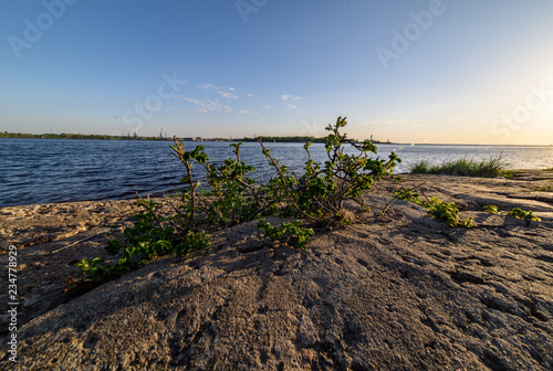 panoramic sea beach view in summer