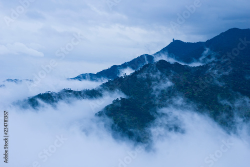 YAKUSHIMA　山