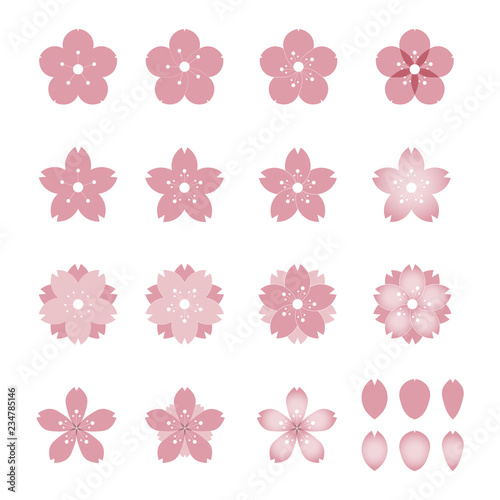 Sakura, cherry blossom - set of 15 spring flower and petal icons, vector