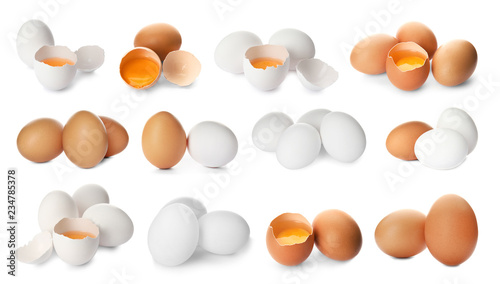 Φωτογραφία Set with fresh eggs on white background