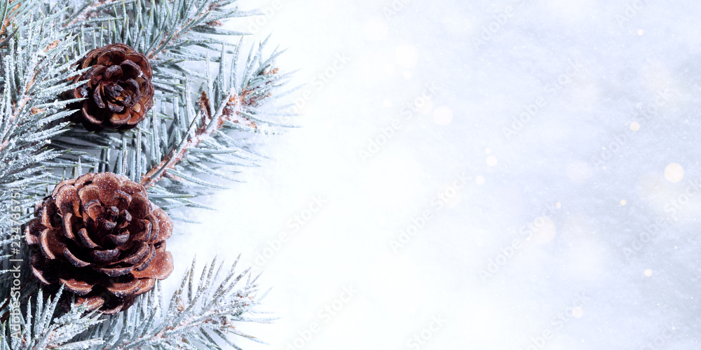 Winter Hintergrund mit Schnee und Tannenbaum