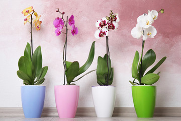 Poster Orchidee Tropische orchideeën in stijlvol interieur  © New Africa