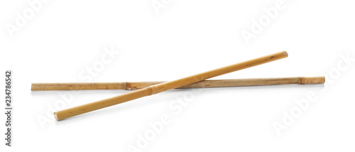 Dry bamboo sticks on white background. Organic material