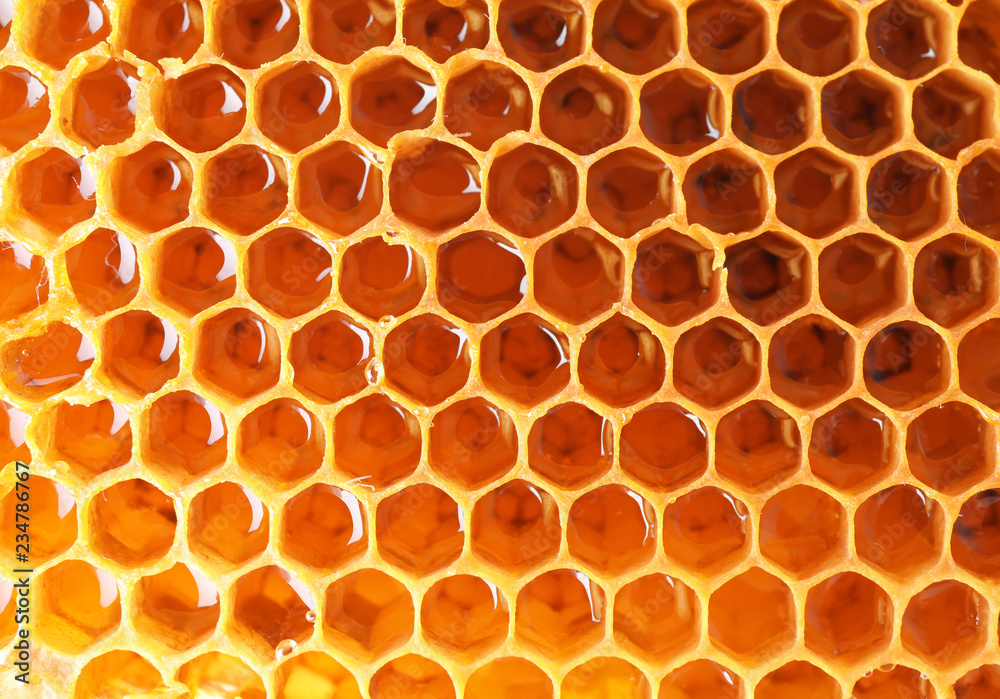 Filled honeycomb as background. Healthy natural sweetener