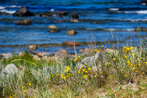 panoramic sea beach view in summer