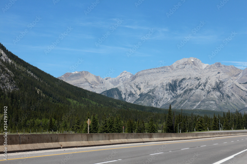 Fototapeta premium summer mountain road