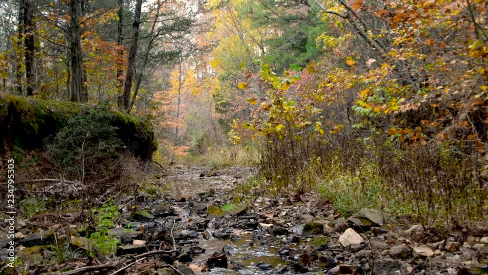 Creek running through a valley during fall