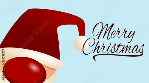 Merry Christmas Santa