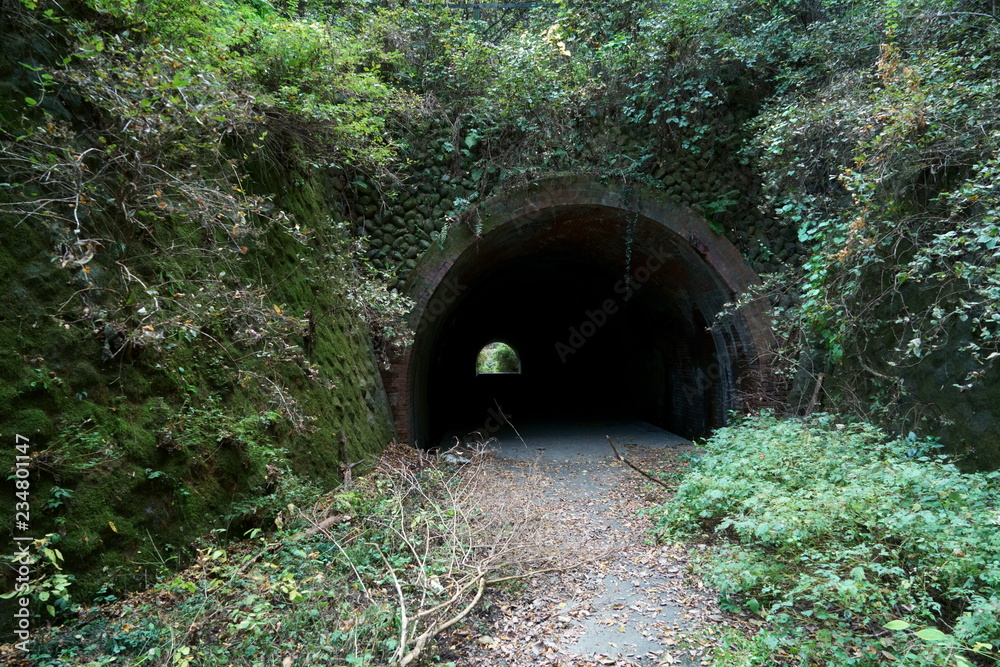 Fototapeta premium 廃トンネル