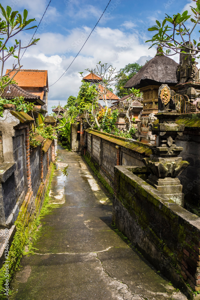 Narrow street in Ubud, Bali, Indonesia.