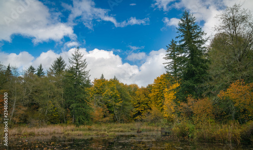 Autumn Along Beaver Pond