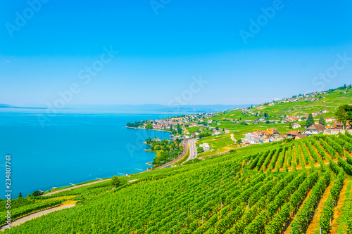 Lavaux wine region near Lausanne, Switzerland photo