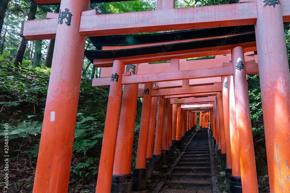 Red Torii gates in Fushimi Inari shrine