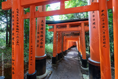 Red Torii gates in Fushimi Inari shrine © Prism6 Production