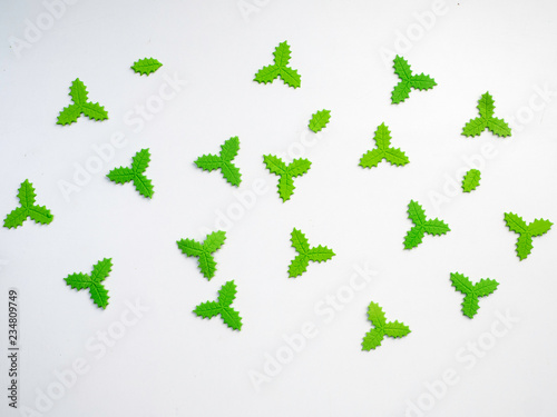 flat lay green leaves on white background