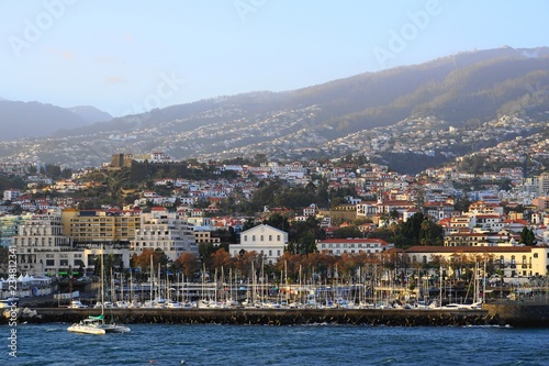 Fototapeta Naklejka Na Ścianę i Meble -  madeira,portugal,funchal,