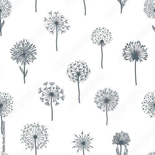 Dandelion old plant with seeds, monochrome sketches outline, seamless pattern