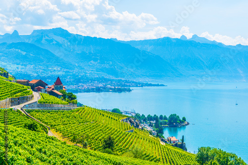 Lavaux wine region near Lausanne, Switzerland