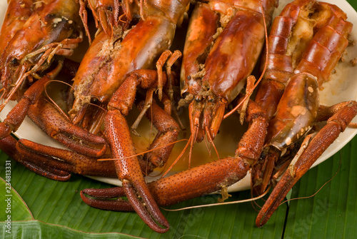 langostinos gomez fàrias tamaulipas mèxico photo