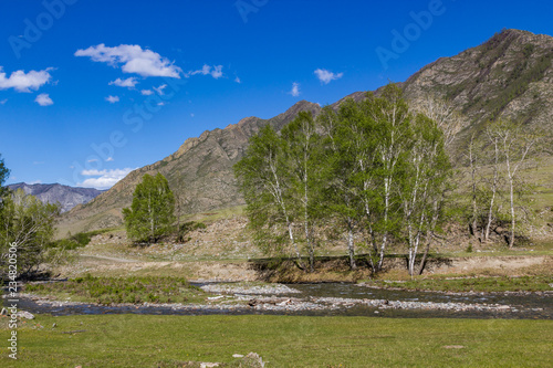 Channel and banks of the mountain river Maliy Yaloman, Altai, Russia photo