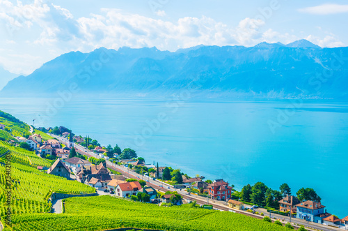 Lavaux wine region near Lausanne, Switzerland photo