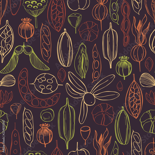 Vector  seamless pattern with hand drawn seedpods.