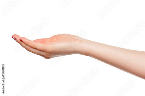 hands take gesture of open palm for holding on white backgrounds  isolated