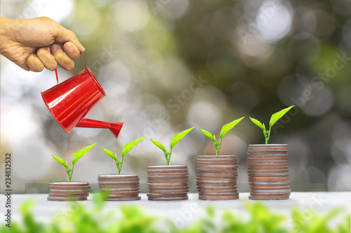 Hands watering young plants growing in on coins stack - Investment and saving money concept