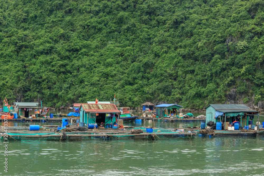 floating fish farm in ha long bay vietnam