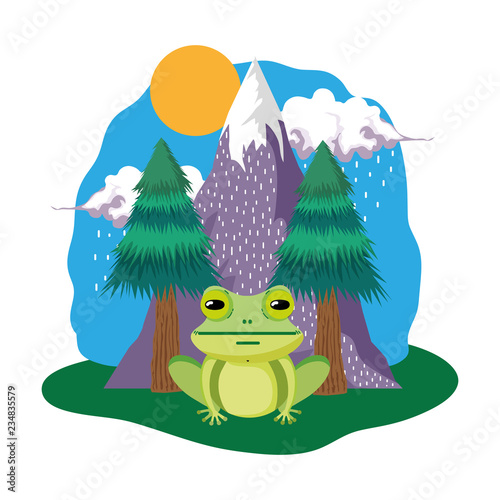 cute toad in the landscape