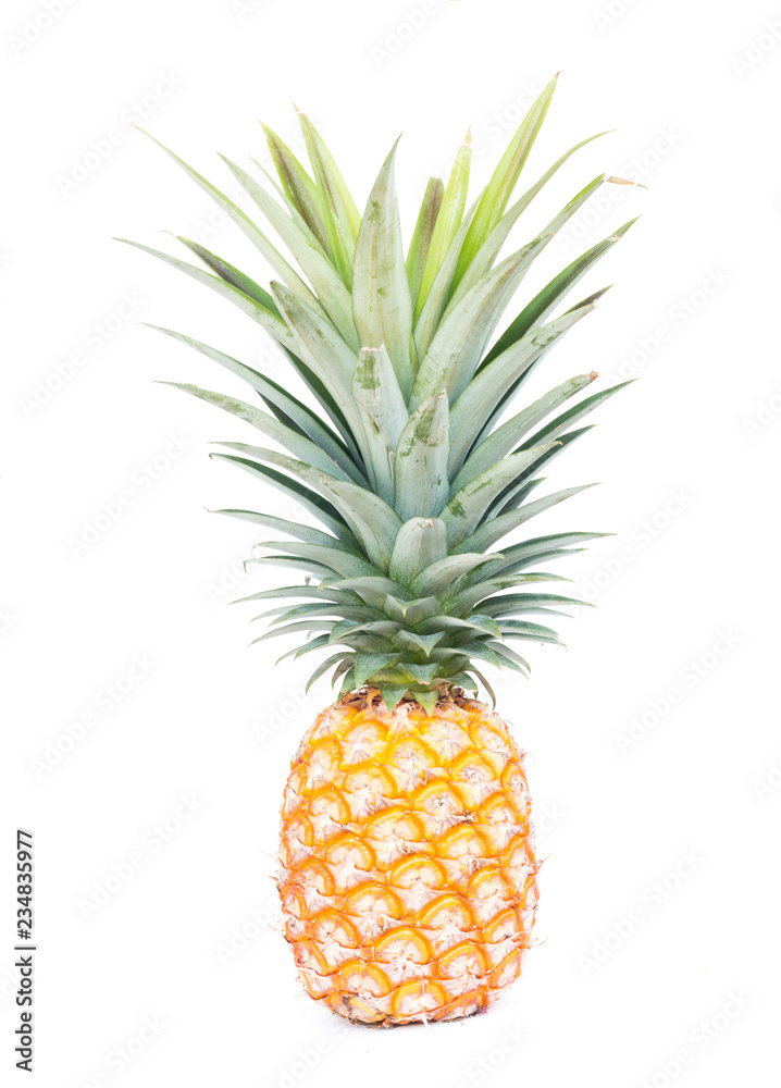 Pineapple on white background Pineapple on white background