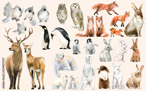Hand-drawn wildlife set watercolor style