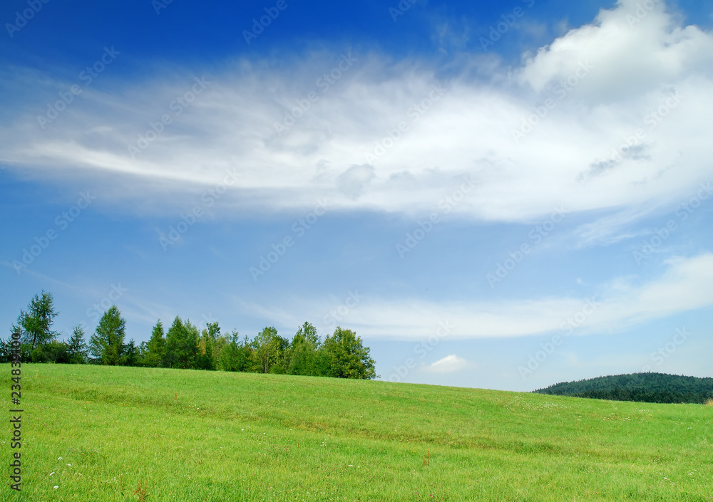 Idyllic landscape, view of green fields and blue sky Idyllic landscape, view of green fields and blue sky