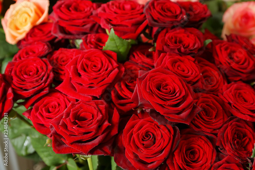 Fototapeta Naklejka Na Ścianę i Meble -  Bouquet of beautiful red roses