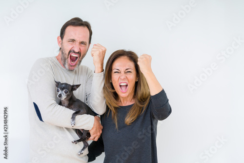 Middle age couple holding small chihuahua over isolated background annoyed and frustrated shouting with anger, crazy and yelling with raised hand, anger concept