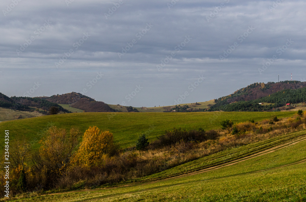 Obraz premium łąki wzgórza 