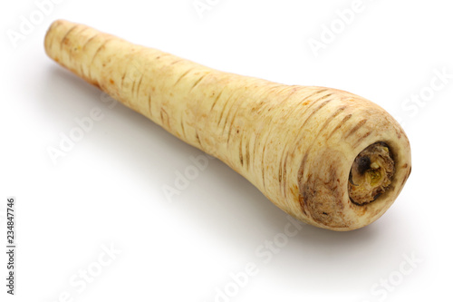 parsnip isolated on white background