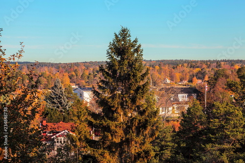 Lidingo Island in autumn,Stockholm photo