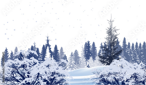 forest in snow winter white illustration
