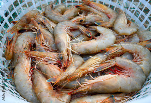 Fresh shrimp, in plastic baskets