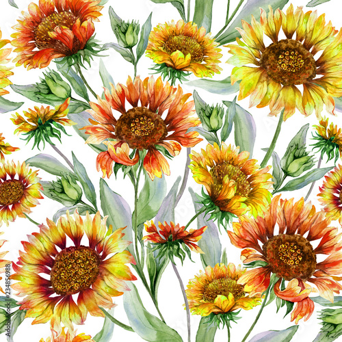 Beautiful orange and yellow coreopsis flowers with leaves on white background. Seamless botanical pattern. Watercolor painting. Hand painted floral illustration.